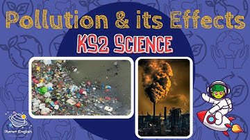 Pollution and its Effects | KS2 Science | STEM and Beyond