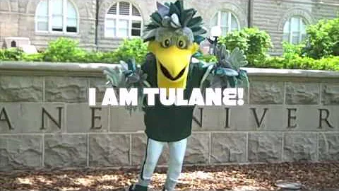 I Am Tulane