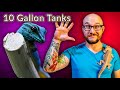 Top 5 Reptiles That Can Live In A Ten Gallon Enclosure FOREVER | Vol. 2
