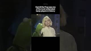 Debbie Harry X Kermit The Frog The Duet You Didnt Know You Needed