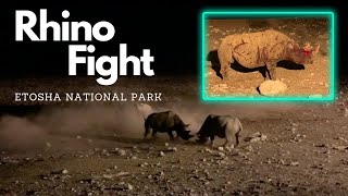 Rhino Flips Calf in Brutal Rhino Fight - Etosha National Park, Namibia (Okaukuejo Waterhole)