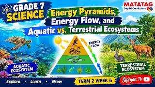 Grade 7 Science | Term 2 Week 6: Energy Pyramids, Energy Flow & Aquatic vs. Terrestrial Ecosystems