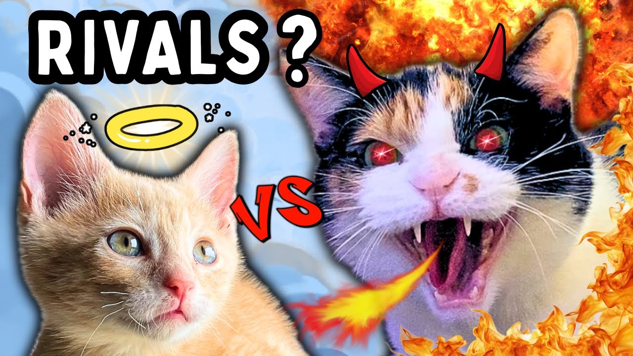 She HATED Him... Watch Their Transformation