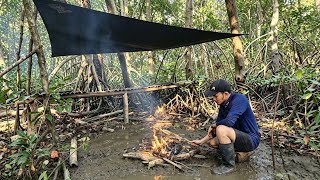 ADVENTURE IN THE MANGROVE FOREST | SURVIVAL CAMPING | SURVIVING IN THE WILD !!