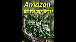 Kya Aap Jaante Ho Amazon Jungle Apni Baarish Khud Karta Hai? 😳