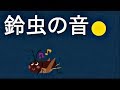 鈴虫の音 音フェチ ASMR 赤ちゃん睡眠音 Baby sleep sounds The sound