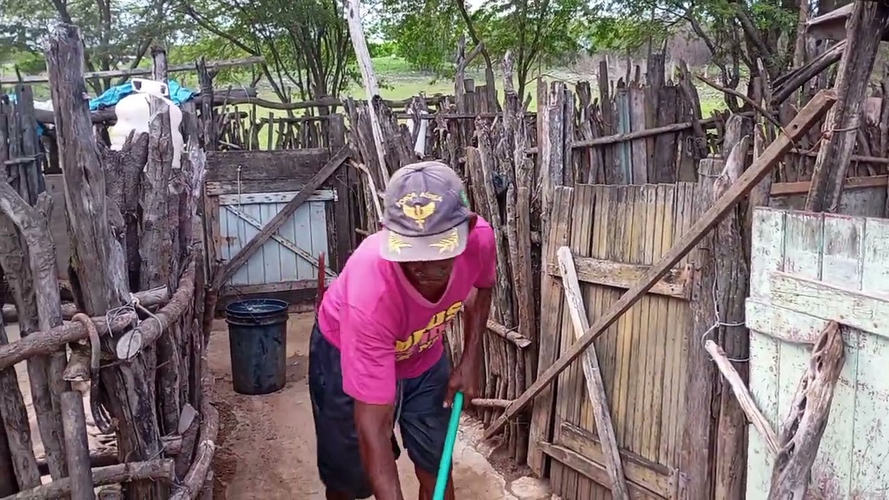 O dia a dia e outras coisas também 