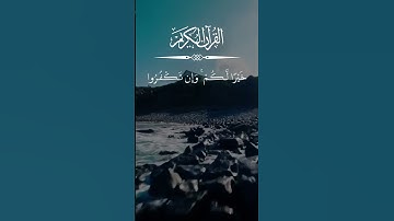 ﴿ ياأيها الناس قد جاءكم الرسول بالحق من ربكم فآمنوا خيرا لكم وإن تكفروا فإن لله ﴾القارئ سعد الغامدي