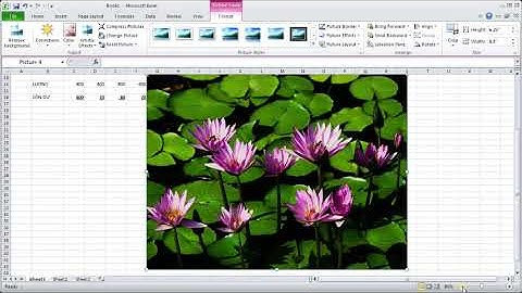 Học Excel cơ bản  Bài 12 Hướng dẫn chèn ảnh vào Excel  Cách chèn ảnh vào Excel nhanh nhất 480p Trim