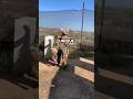 Funniest airsoft fails 🤣