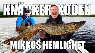 Hemligheten till stora GÄDDOR med Mikko Seppänen - Lär dig fiska gädda på hösten Del 2