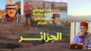 لازم تعرف علاش ليوطي بعث عائلات مغربية الى الجزائر للعمل