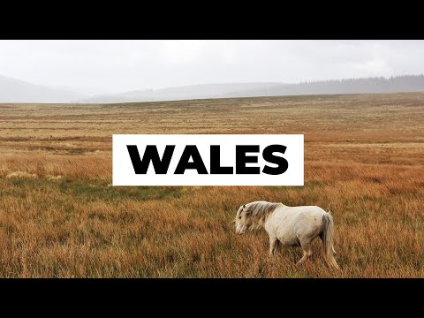 Video: Brecon Beacons National Park: Den kompletta guiden