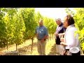 Michael gives a tour of 2 Napa Valley Vineyards