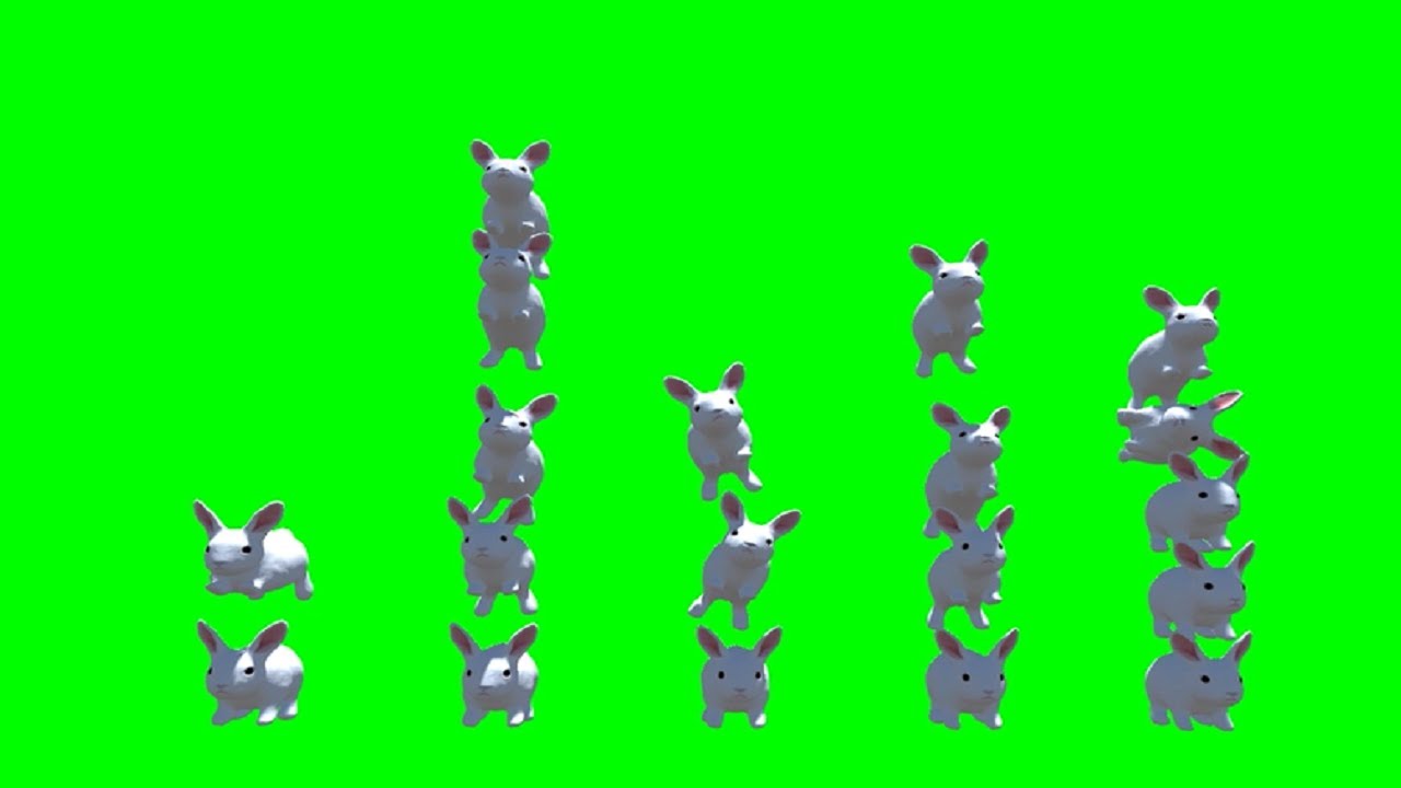 AI Rabbit Stacks Green Screen