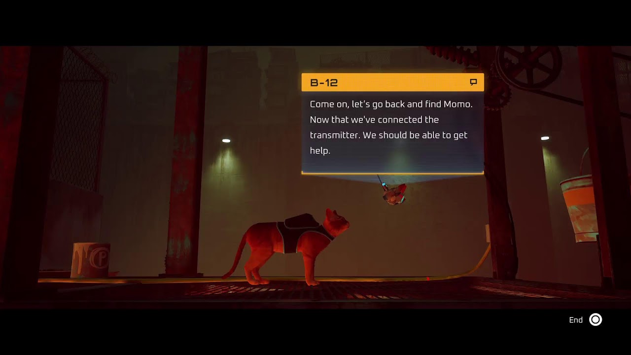 Theres a Stray wandering about