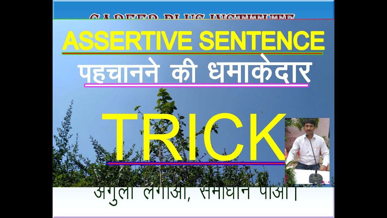 assertive-sentence-sentence-kinds-of-sentences-youtube