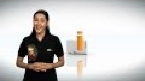 Internet Explorer® 7: How to display text in place of pictures on Windows® Vista