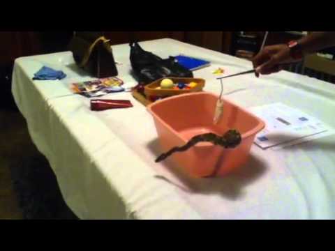 camera iphone 8 plus apk Chef kevin