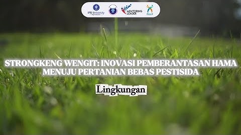 STRONGKENG WENGIT INOVASI PEMBERANTASAN HAMA - Kesya Ainun Mahya - SMAN 1 Sitiung - Socpro FALP 2025