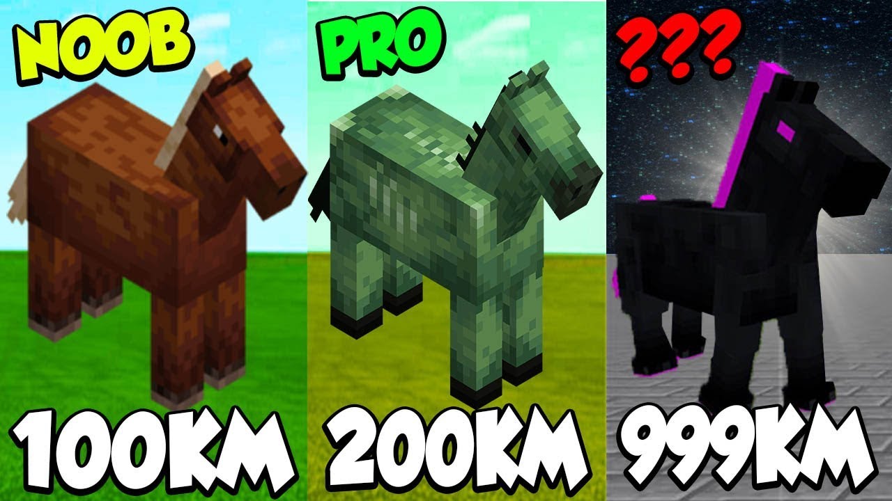 HET SNELSTE PAARD TER WERELD IN MINECRAFT! - YouTube