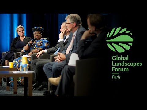 High-level Opening Plenary Discussion GLF 2015