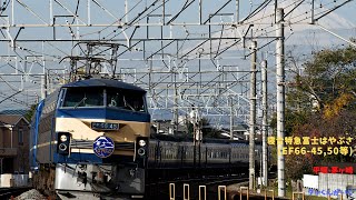 寝台特急富士・はやぶさ(EF66-45,50等) 平塚-茅ヶ崎 12月のシーン