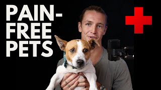 Red Light Therapy for Pets in Pain: Natural Relief for Your Furry Friend