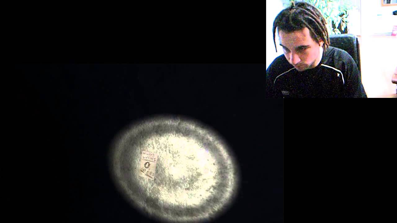 [ Tox ] Reaction to Slender.