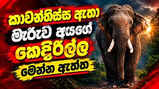 කාවන්තිස්ස ඇතා මැරුව අයගේ කෙදිරිල්ල මෙන්න ඇත්ත