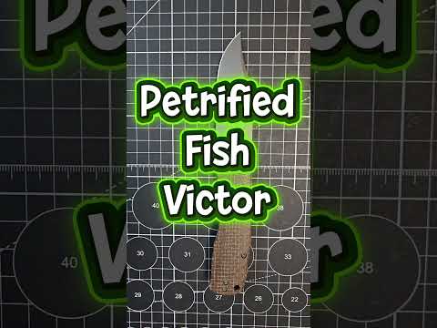 3 Budget Knives Under $50 That Punch WAY Above Their Price! ????