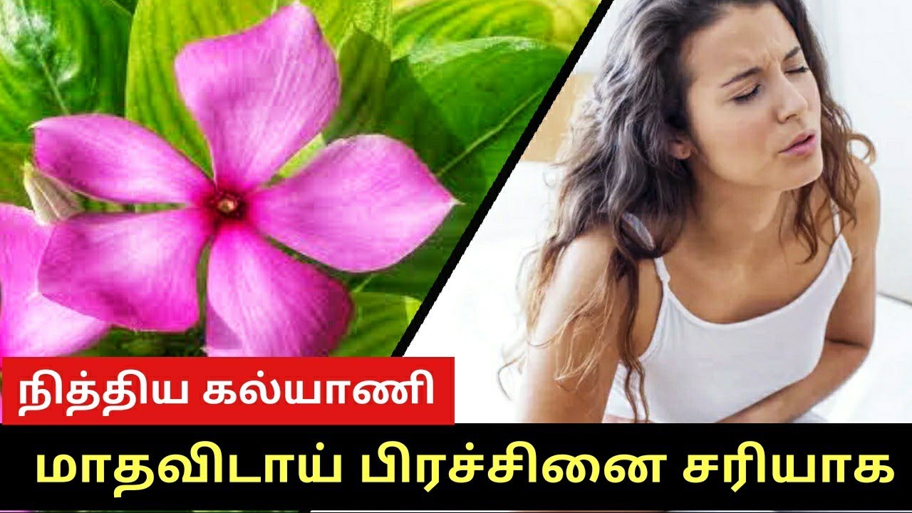 Nithyakalyani Flower Benefits Tamil Maruthuvam Cure Diabetes