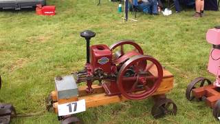 FMPS Show Long Melford 2014 Stationary Engines