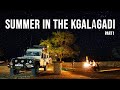 Summer in the Kgalagadi Transfrontier Park - Part 1