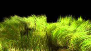 Lightwave fiberfx grass 2