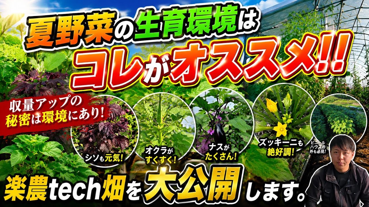 This Is the Best Environment for Summer Vegetables!! Revealing the