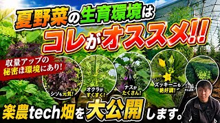 This Is the Best Environment for Summer Vegetables!! Revealing the