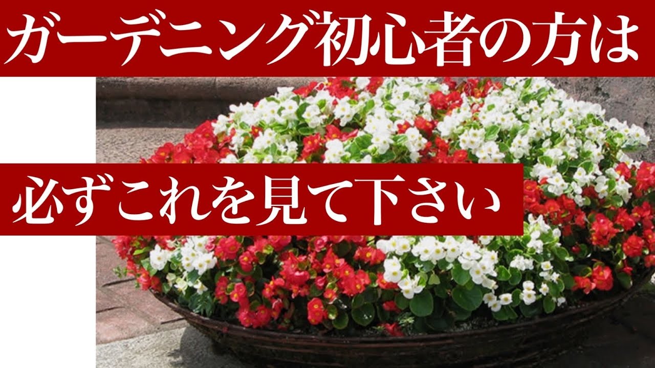 ガーデニング 初めてのガーデニングでも成功する為に必要な道具と植える方法を教えます 園芸 Youtube