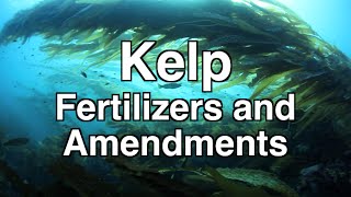 Kelp Fertilizers and Soil Amendments in Organic Gardening