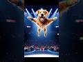 The Best Dog and Cat Duo Dance Challenge Ever