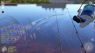 Russian Fishing 4 - EEL SPOT Volkov River