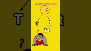 Mendel's Law of Segregation