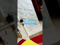 Roman reings theme #funny comendy video