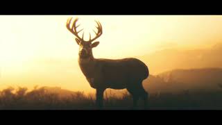 Red Dead Redemption 2 - Dreams of deer (extended segment of soundtrack)