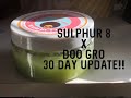 Sulphur 8 x Doo Gro UPDATE!!🎉😱Did it Work??