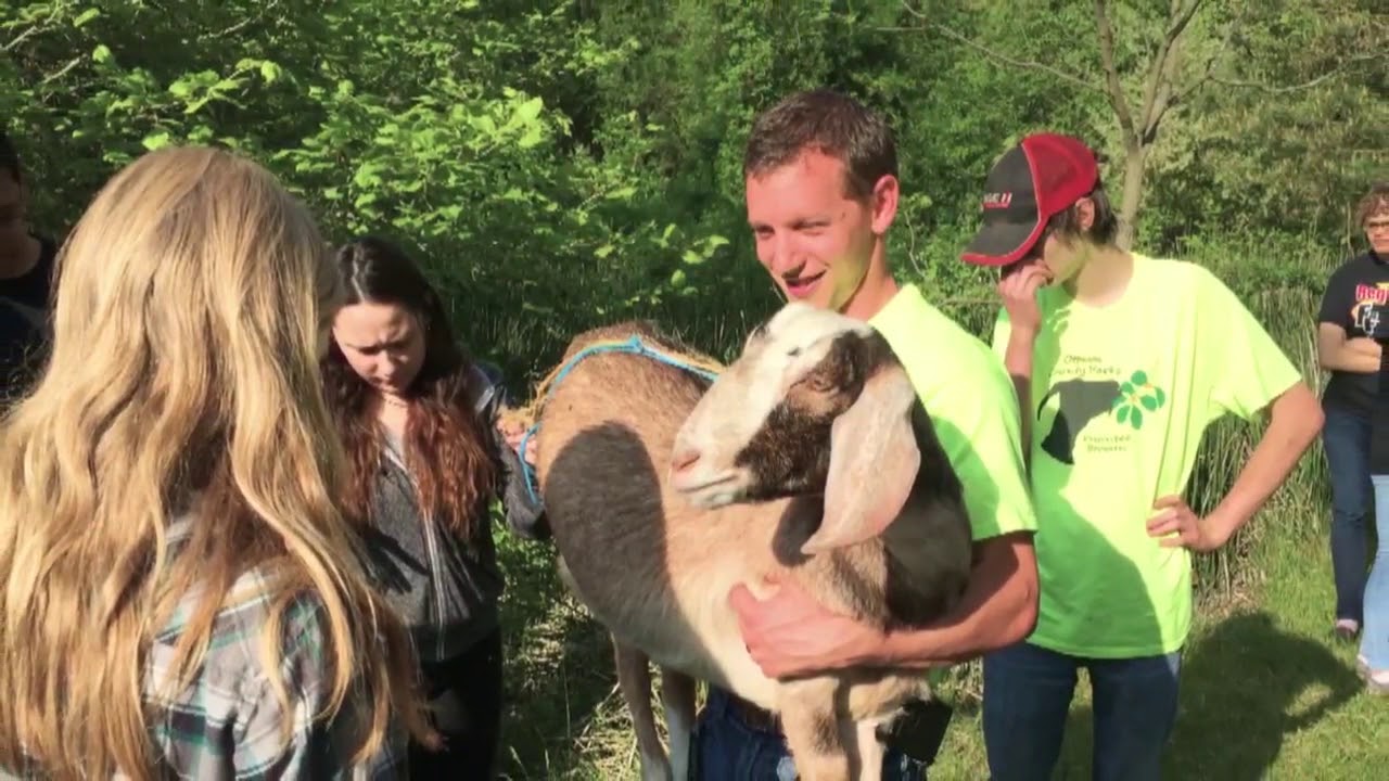 ottawa county schools An Innovative Solution to Invasive Plants | The Blue Economy | Great Lakes Now