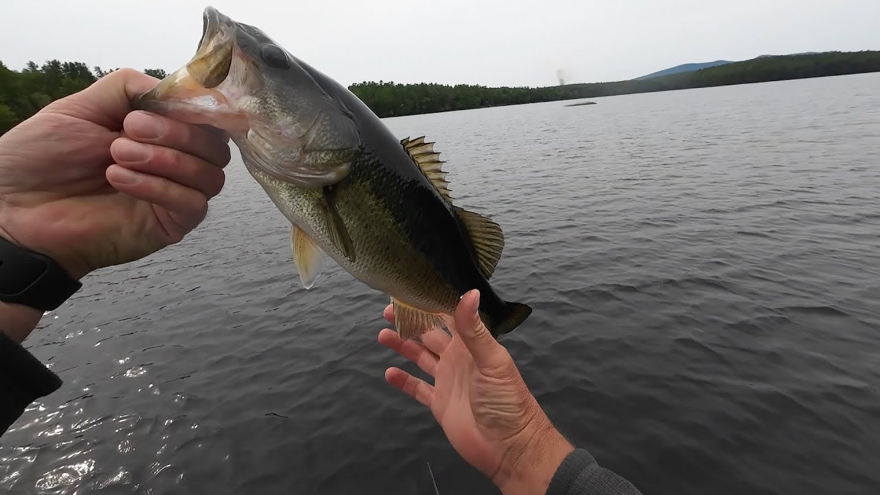 Bass fishing Maine