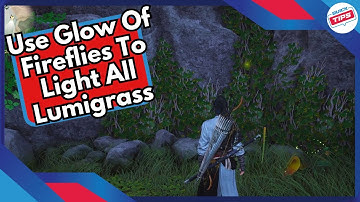 Use Glow Of Fireflies To Light All Lumigrass Meow Meow Puzzle in Where Winds Meet