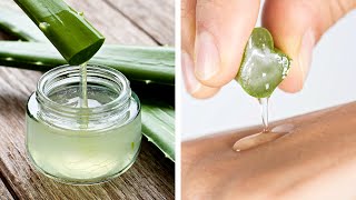 Aloe Vera Cildinizde Mucizeler Yaratabilir Nasıl Yapılacağını Öğrenin