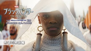 「ブラックパンサー／ワカンダ・フォーエバー」希望の物語編